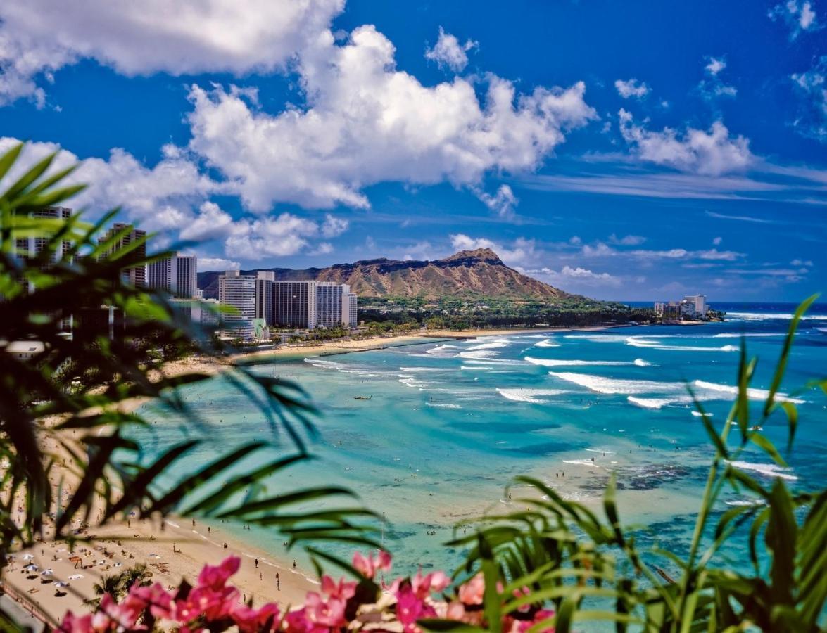 Diamond Head Views Retreat With Free Parking & Near Waikiki Beach! Honolulu Dış mekan fotoğraf