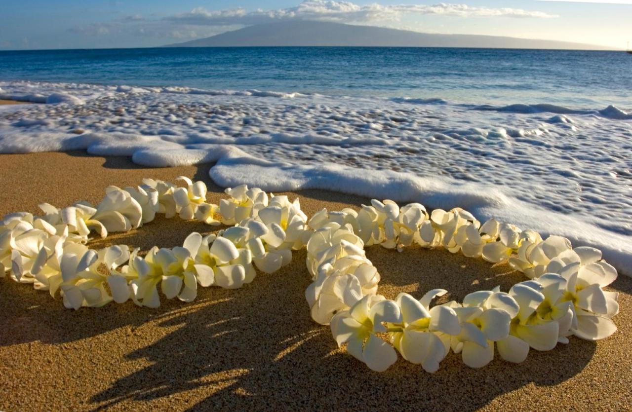 Diamond Head Views Retreat With Free Parking & Near Waikiki Beach! Honolulu Dış mekan fotoğraf