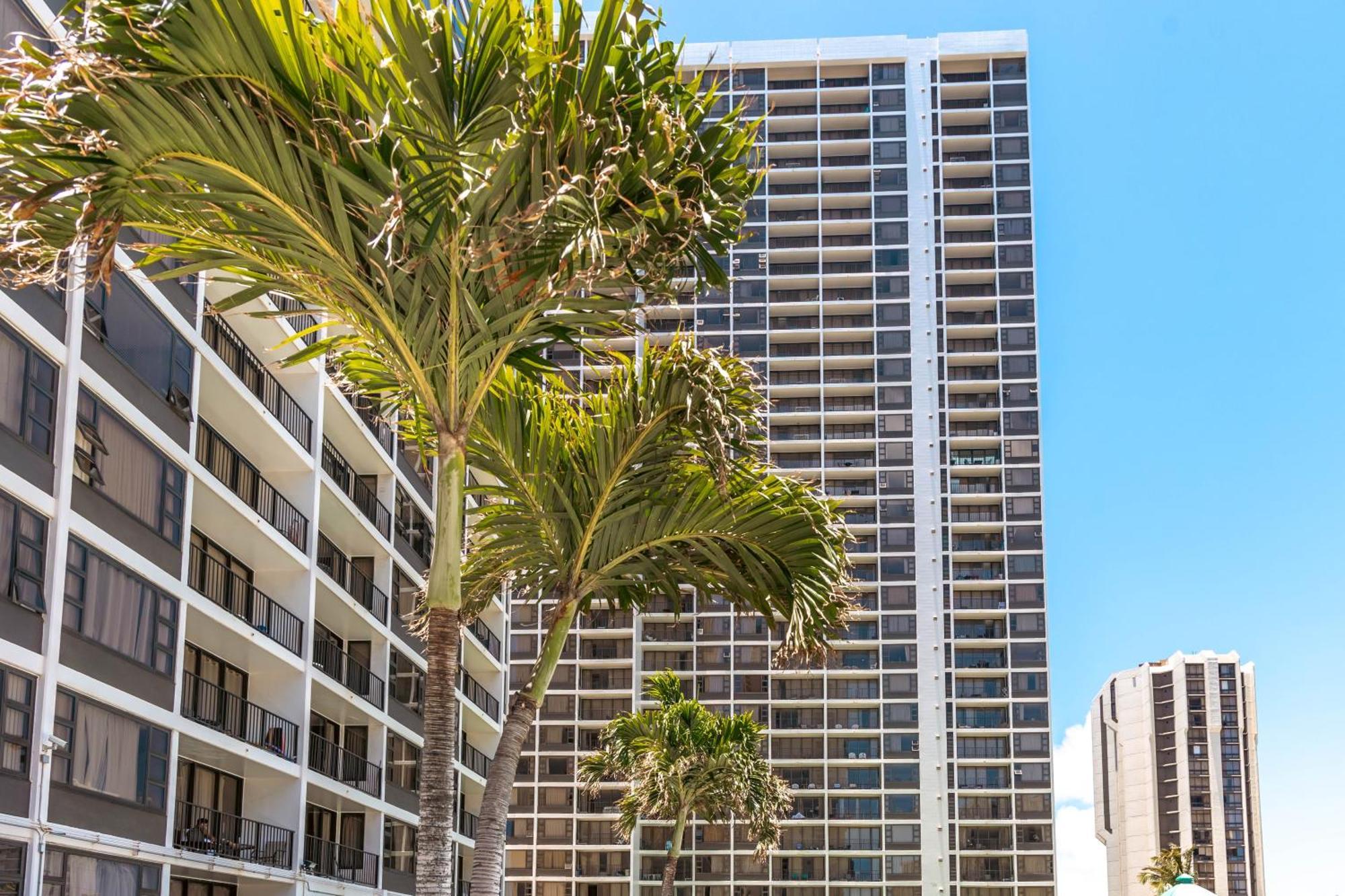 Diamond Head Views Retreat With Free Parking & Near Waikiki Beach! Honolulu Dış mekan fotoğraf