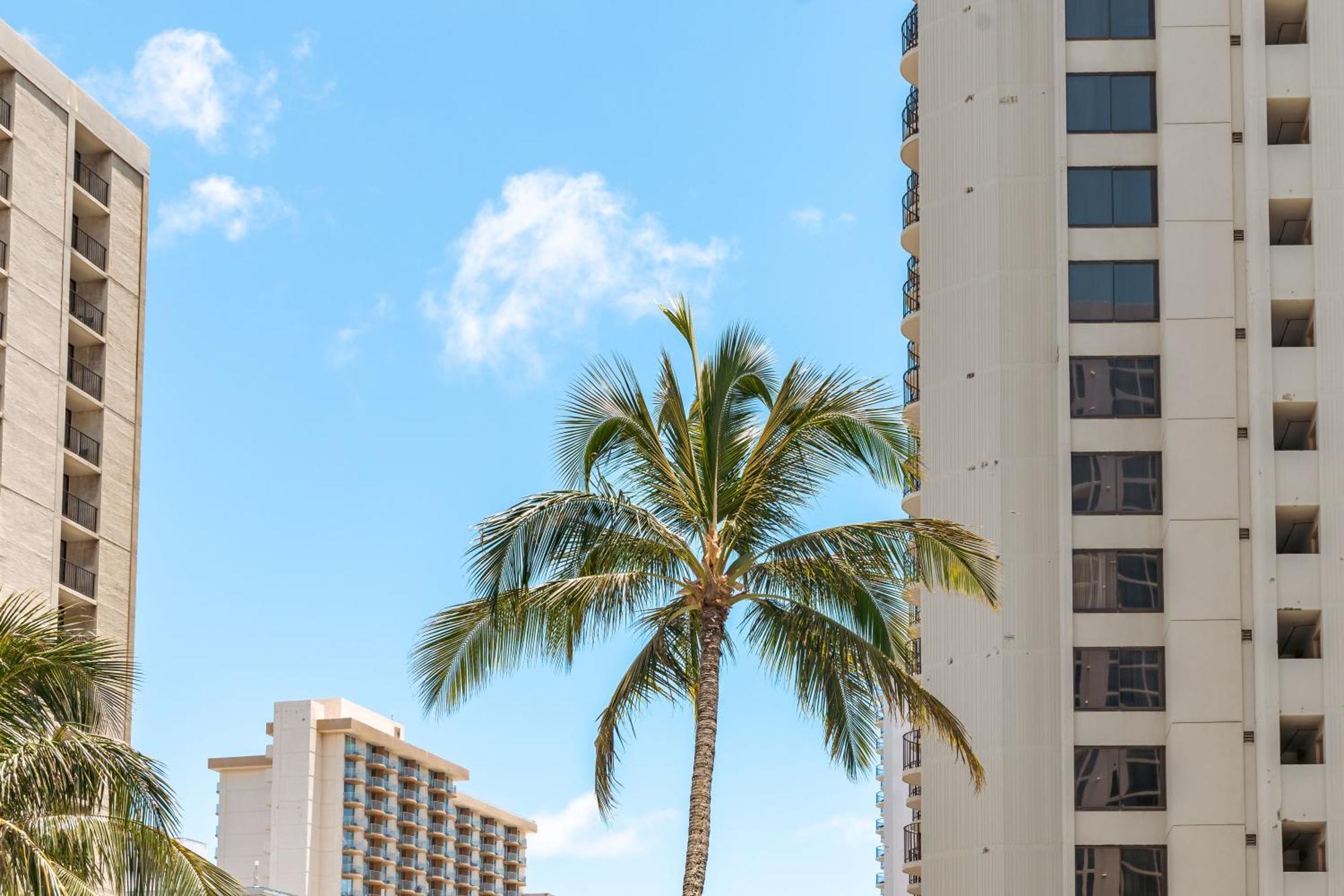 Diamond Head Views Retreat With Free Parking & Near Waikiki Beach! Honolulu Dış mekan fotoğraf